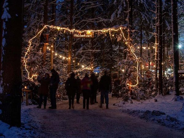 ADVENT UZ DUNAV: PASSAU – SCHÄRDING I ŠUMSKI DOŽIVLJAJ AUSTRIJE