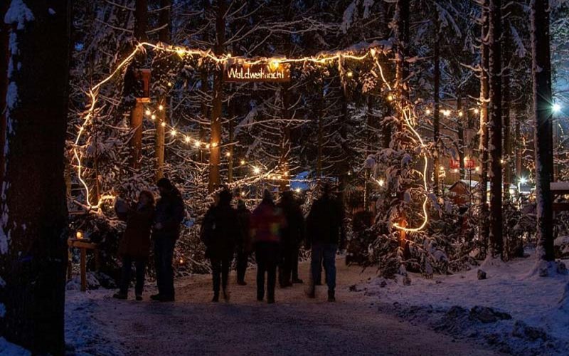ADVENT UZ DUNAV: PASSAU – SCHÄRDING I ŠUMSKI DOŽIVLJAJ AUSTRIJE