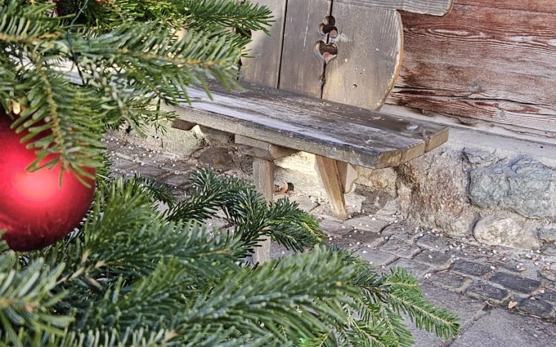ZLATNA JESEN I ŠAPAT ADVENTA U DOLINI WACHAU: Göttweig -Dürnstein – Melk